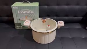 10L Micro Pressure Cooker Soup Pot Roman Holiday Large Capacity Household Gas Stove Induction Universal Household Non-stick Pan Stew Soup Pot: A Comprehensive Guide