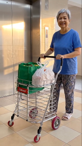 Giken Aluminium Grocery Shopping Cart Trolley [Light Weight] Medium and Large