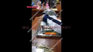 Máy thái hành tímtỏi chạy điện 220V năng suất 68-80kg/giờ