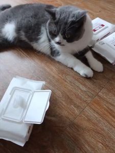 [ส่งไว จากไทย] Kokoro Home ทิชชู่เปียกสัตว์เลี้ยง 80 แผ่น สูตรอ่อนโยน ปลอดภัย ใช้ทำความสะอาดแมวและสุนัข เช็ดตา เท้า ได้อย่างดี MB221