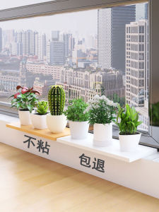 Wide Extension Board for Window Sill and Balcony Wooden Minimalist Modern Crafted Shelf for Flower Display and Storage