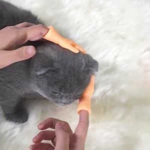 Bàn Tay Mini Tương Tác Trêu Đùa Mèo Massage Cho Mèo - Hàng loại 1 Dày dặn chắc chắn