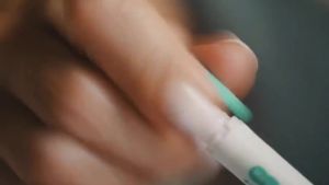 Japan ZEBRA Zebra WKT7 Fluorescent Pen Set Light Color  Dark  Affinity Color  Sunny Color Series 5 Color Suit