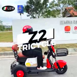 LEM Electric tricycle adult new mini family electric car for men and women pick up the children