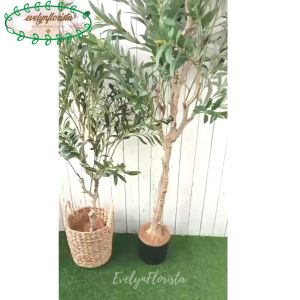 Tanaman Imitasi Zaitun Olive X3 T140 & T180 Latex Cover Anyaman EcengGondok Handle Hiasan Rumah