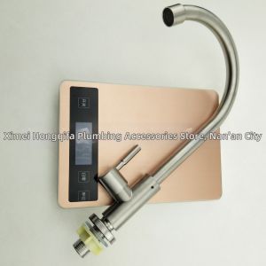 Stainless Steel Kitchen Sink Single Cold Water Faucet