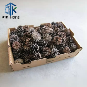 Combo thông khô 10 trái – trang trí cây thông quà tặng handmade