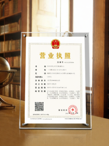 GOLDLONSEN | Acrylic Document Frame Transparent