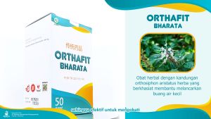Obat Ginjal Ampuh | Obat Gagal Ginjal Orthafit Bharata | Obat Infeksi Saluran Kemih | Batu Ginjal