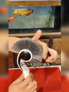 Fish Tank Hippocampus Corner Brush Cleaning Tool Glass Tank