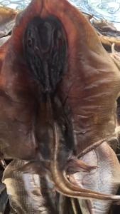 Khô Cá Đuối Dơi Phơi Lạt 100% HOÀN TOÀN TỰ NHIÊN - Tú Vy Food - Khô Cá Đuối Nguyên Con