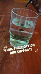 Mullein Leaf Extract Drops Powerful Lung Support Cleanse & Respiratory Drops