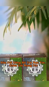 Dầu Gội Gừng Tươi 20g x10 Gói – Giảm Rụng Kích Mọc Tóc Nuôi Da Đầu Khỏe Hương Gừng Thư Giãn