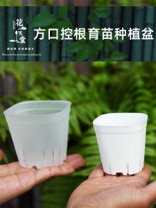 Minimalist New Style White Succulent Flower Pot Plastic Short Square Basin Small Mouth Mini Balcony Root-Controlling Seedling Planting Pot Thickened