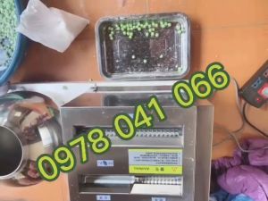 Máy cắt viên bánh nhãn bánh cà  ST106