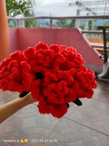 handmade crafts flowersmade of fuzzy wire beautiful roses  handmade with love and perfect for any occasion such as graduation valentines day debut and souvenirs for christenings and weddings