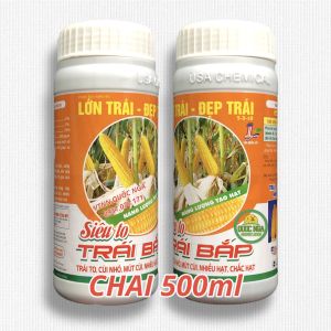 PHÂN BÓN LÁ SIÊU TO TRÁI BẮP - TRÁI TO CÙI NHỎ MÚT CÙI NHIỀU HẠT CHẮC