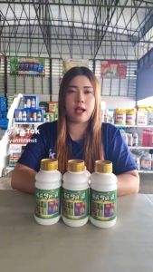 ซีพี รูท-ดี