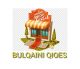 Bulqaini qioes
