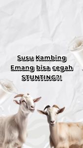 Biotawa - Susu Kambing Etawa dengan Probiotik - Susu Kambing untuk Mencegah Stunting