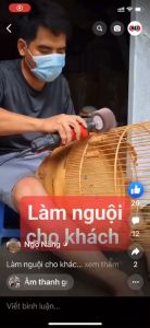 1 cục Nhám đánh bóng Que Nỉ Que nhám dùng đánh bóng lồng chim và các sản phẩm đa dụng.