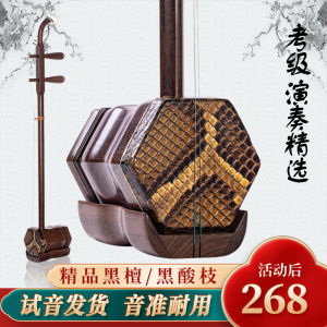Premium Black Ebony Black Rosewood Erhu Instrument for Beginners Professional Performance Level Hexagonal Shape Traditional Chinese Violin
