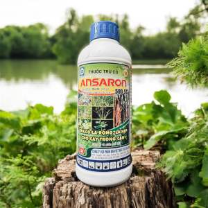 Ansaron 500SC - trừ cỏ lá rộnglá hẹp cho cây trồng cạn