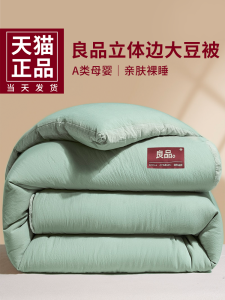 Thickened Soy Fiber Quilt Spring Autumn Winter Warm Cotton Blanket Dormitory Single Summer Cool Four Seasons Universal Core