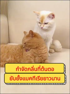 [ ISABELLA สัตว์เลี้ยง สเปรย์ดับกลิ่น ] กำจัดกลิ่นที่ต้นตอ ยับยั้งแบคทีเรียยาวนาน ดับกลิ่นฉี่แมว ดับกลิ่นสัตว์เลี้ยง น้ำยาดับกลิ่นหมาและแมว เหมาะสำหรับ