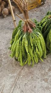 pete / peuteuy Fresh 10 lonjor siap konsumsi