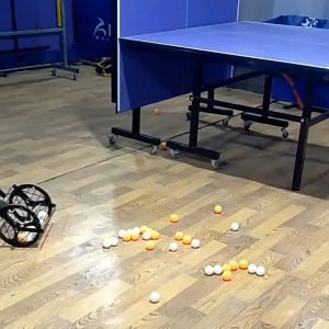 Height Adjustable Table Tennis Balls Picker Portable Tennis Ball Rolling Ball Collector For Tennis Training