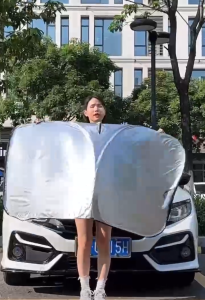 ZH634 Fodable Universal Car Heat Insulation Sunshade Sun Protection Glass Baffle Sunscreen Cover
