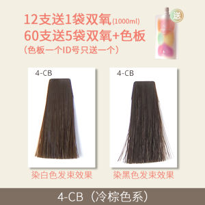 Blue Cap Hair Dye Cream Cold Mist Purple Pink Hair Coloring Agent Professional Salon Quality Hair Dyeing Product by Polan