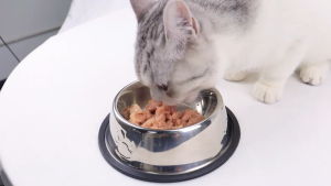 Durable Rust-Resistant High Quality Stainless Steel Non-Slip Pet Food Bowl Dog Cat Versatile Bowl