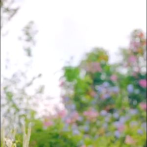 JUNIKIE MAKEUP - Reglow Perpect Glowing & Whitening Serum 15 ml