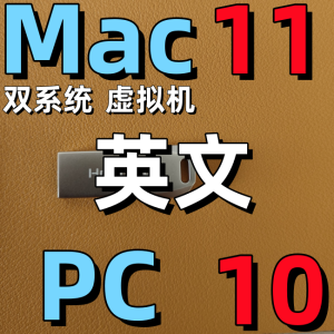 Windows 10 Win 11 Dual System Virtual Machine English Version ISO Install USB Drive System Requirements And Technical Support