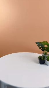 STELANG หม้อต้มไข่มูกไฟฟ้า - ราคาถูกต้อง 5L 500W Boba Cooker ระบบอัตโนมัติอัจฉริยะ Pearl Boiler