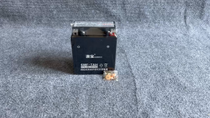 Bình điện xe Honda Shadow 150