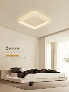 Ultra-Thin Simple Design Ceiling Light for Small Spaces