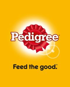 Pedigree Dog Adult Puppy Chicken Loaf Gravy Dog Pouch Wet Food 130G