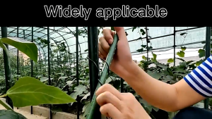 【SG】10Pcs Greenhouse Film Fixation Clamp - Flowers Frame Fastener - Plants Supports Rod Clips - for Garden Growth Frame