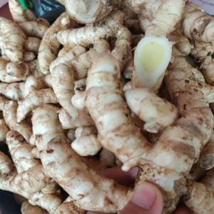 KUNYIT PUTIH 1KG ASLI PEGUNUNGAN