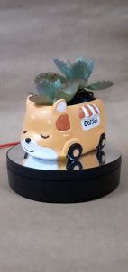 Cute Animal Car Pots