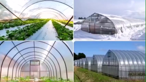 UV Plastic Sheet 200 microns 2×10/3×5/3×10/3×15/4×10/5×10M For Greenhouse Polyethylene Plastic Cover Topquality