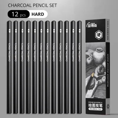 Professional 2H HB B 2B 3B 4B 6B 8B 12B 14B Sketch Drawing Graphite Charcoal Pencils Set Drawing Sketching for Artists Beginners
