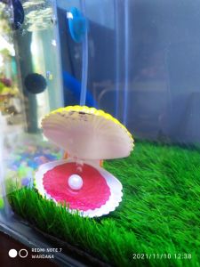 Hiasan Gelembung Udara Aerator Aquarium Model Kerang Mutiara Berkualitas | Shell | Aerator Erator
