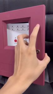 2 Zones 4 Zone Fire Alarm Control Panel with AC power input Fire Alarm Control System Conventional Fire Control Panel Fire Alarm Control Panel