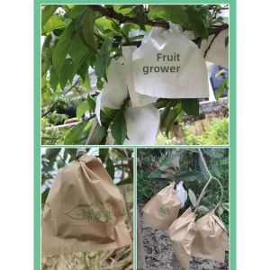 Citrus Dedicated Bag Paper