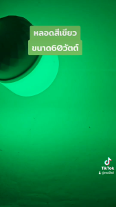 หลอดไฟแสงเขียว 60W มอก.หลอดเขียว หลอดปิงปอง LED ไฟล่อหมึก ไฟตกหมึก ขั้วเกลียว 60W (ขั้ว E27)