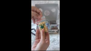 Paket Oleh-oleh Haji & Umroh: Alfareza - Paket Combo Makanan